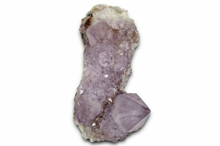 Sparkling Cactus Amethyst Crystal Cluster - South Africa #337614